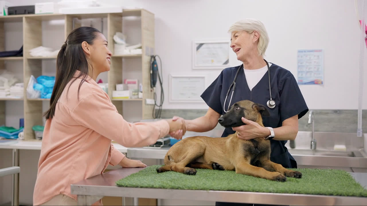 A Snoot vet greets a pet parent while their puppy relaxes on the exam table